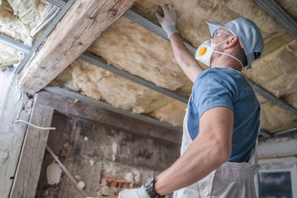 Best Insulation for Specific Applications in Coal Valley, IL