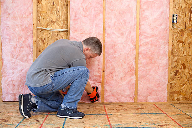 Best Spray Foam Insulation in Coal Valley, IL