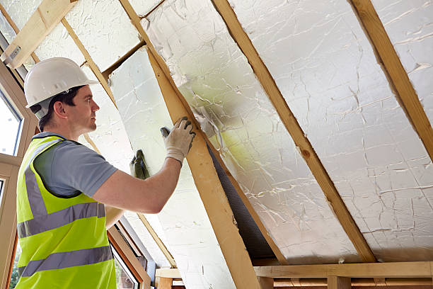 Best Eco-Friendly Insulation in Coal Valley, IL