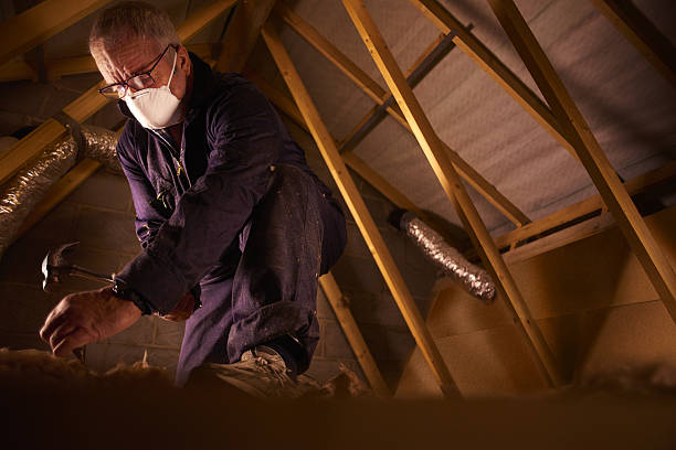 Best Residential Insulation in Coal Valley, IL